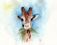 Girafa con hierba